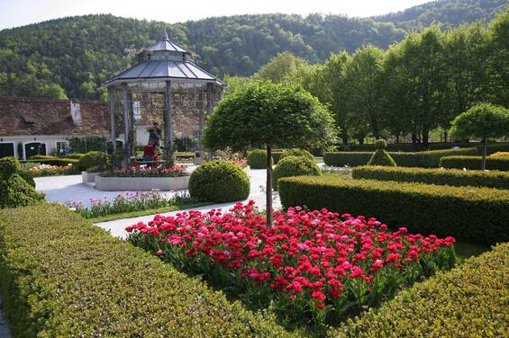 Tulip bed in the garden at Tierwelt Herberstein (c) Schiffer