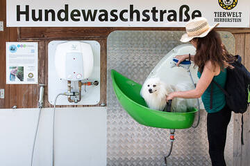 Dog in the dog wash at Tierwelt Herberstein