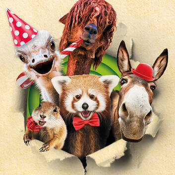 10 Years of the State Zoo — The Celebration