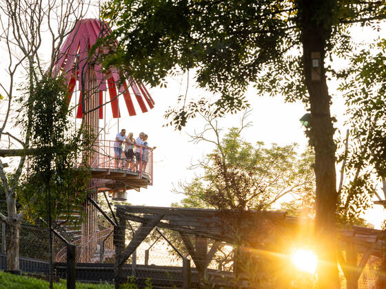 The observation tower at Herberstein Wildlife Park in the evening.