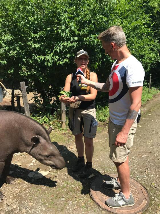 Andi Knoll interviews a zookeeper next to a tapir at Tierwelt Herberstein
