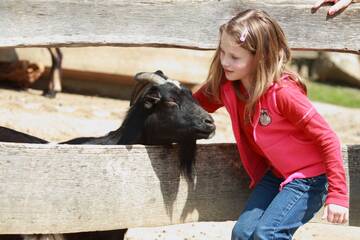Animals You Can Touch for All Ages 