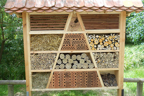 Insect Hotel at Tierwelt Herberstein