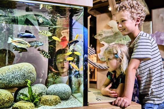 Aquarium at the House of Biodiversity in Tierwelt Herberstein (c) mavric