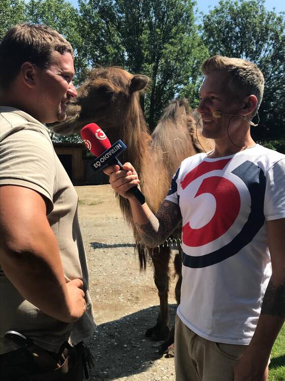 Andi Knoll interviews a zookeeper next to a camel at Tierwelt Herberstein