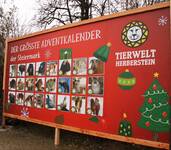 Herberstein Wildlife Park's Advent Calendar