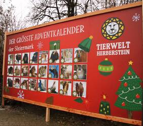 Herberstein Wildlife Park's Advent Calendar