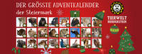 Advent Calendar