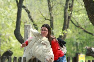 Animals You Can Touch for All Ages 