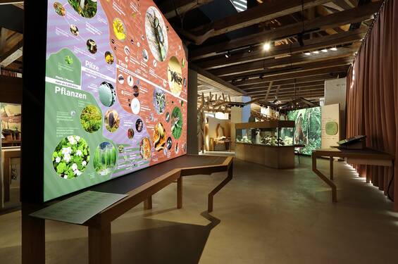 House of Biodiversity at Tierwelt Herberstein (c) J.J. Kucek