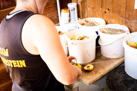 Buckets full of food for guided feeding sessions at Tierwelt Herberstein. Copyright by Andreas Litzellachner