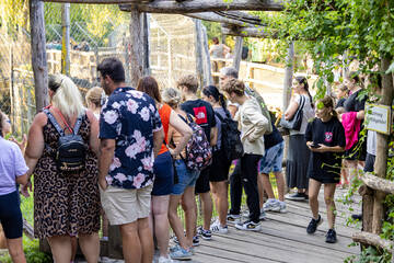 Visitors at the Full Moon Festival at Tierwelt Herberstein.