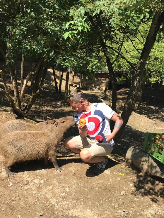 Andi Knoll feeds a capybara at Herberstein Wildlife Park