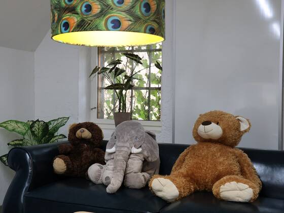 Stuffed animals in the children's birthday party room at Tierwelt Herberstein.