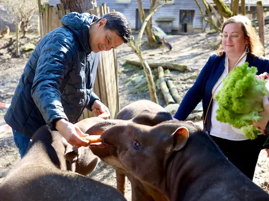 State Council Member Sponsors a Tapir