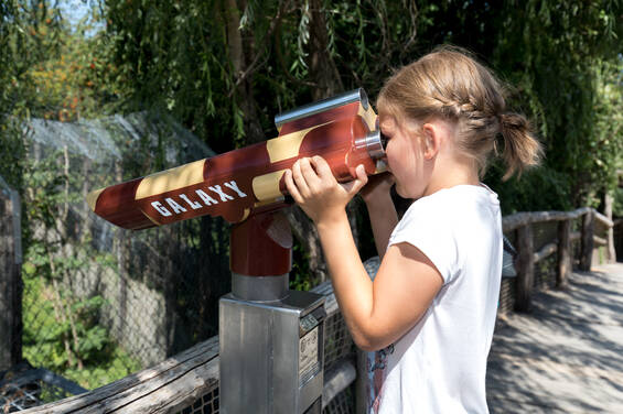 Discovery Tour with the Herberstein Wildlife Park's Zoo School