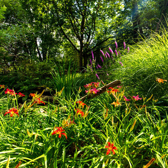 Flowers in the insect hotel at Tierwelt Herberstein