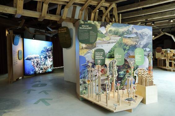 Adventures at the House of Biodiversity in Tierwelt Herberstein (c) J.J. Kucek