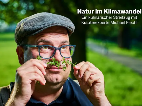 Nature in the Face of Climate Change