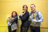 Lion cubs at Herberstein Wildlife Park