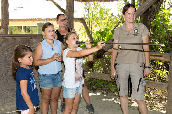 Try it out for yourself at the Herberstein Wildlife Park's Zoo School