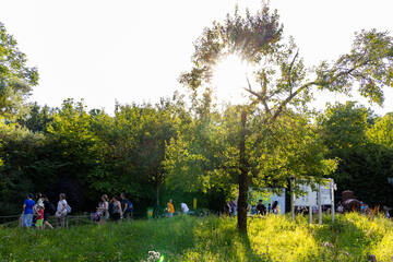 Evening atmosphere at the Full Moon Festival at Tierwelt Herberstein.