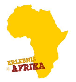 Experience Africa